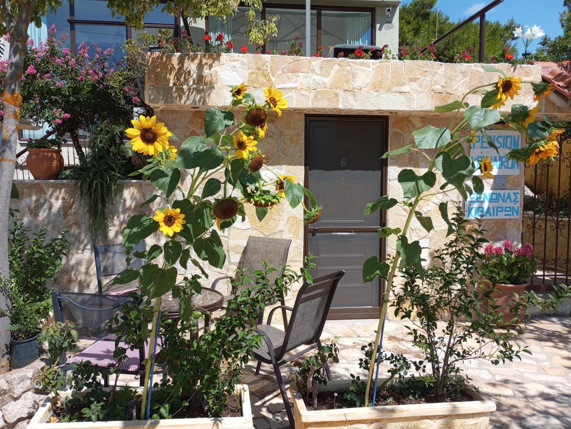 Xenonas Κithαiron Hotel Vilia ภายนอก รูปภาพ