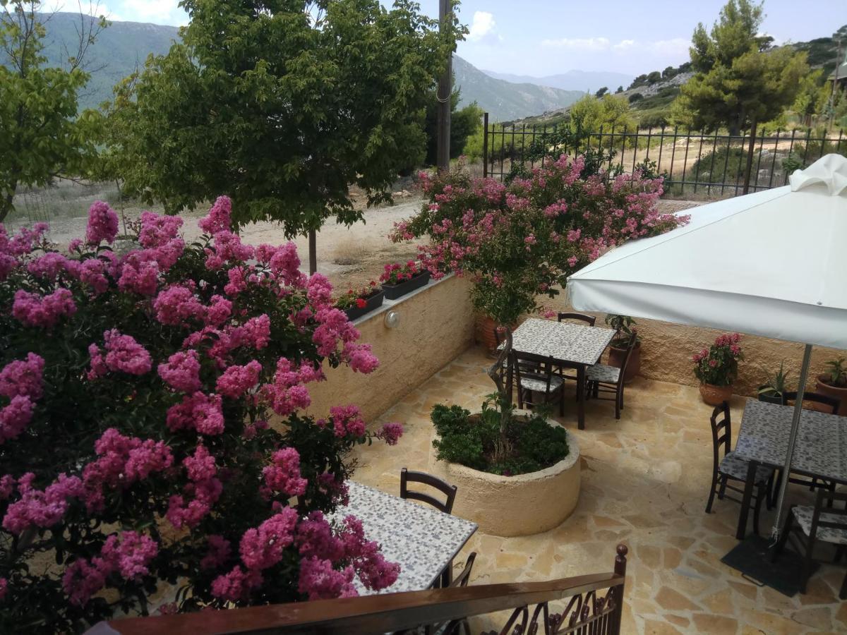 Xenonas Κithαiron Hotel Vilia ภายนอก รูปภาพ