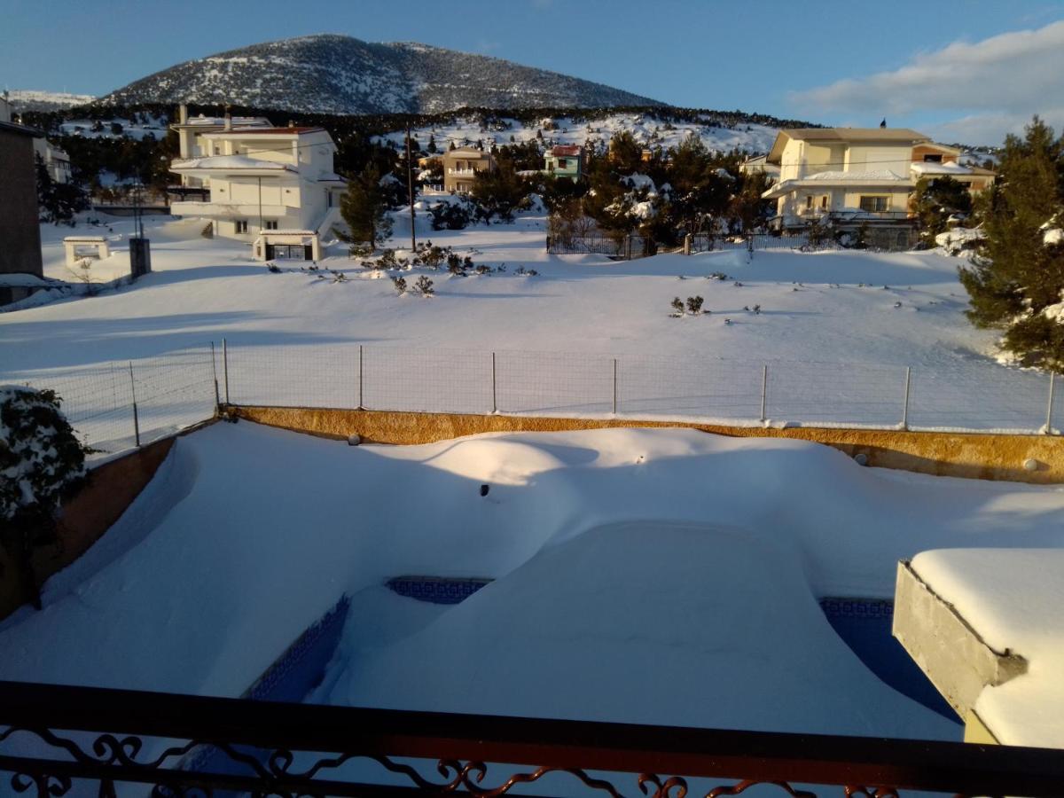 Xenonas Κithαiron Hotel Vilia ภายนอก รูปภาพ