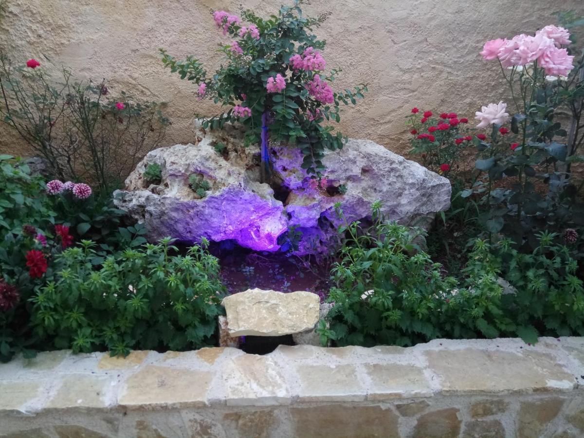 Xenonas Κithαiron Hotel Vilia ภายนอก รูปภาพ