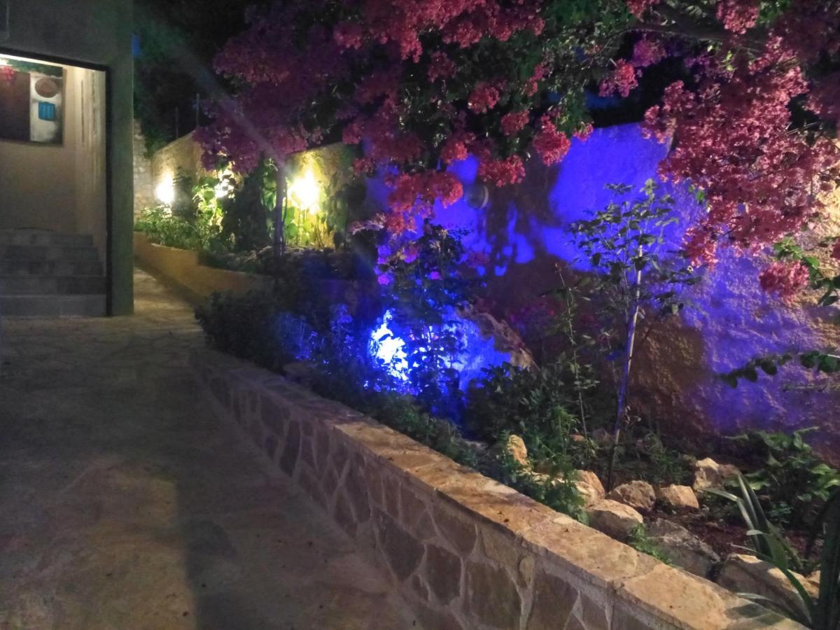 Xenonas Κithαiron Hotel Vilia ภายนอก รูปภาพ
